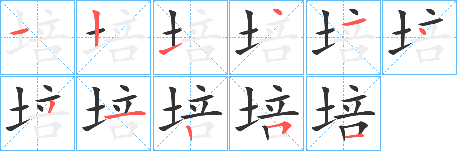 培的笔顺分步演示