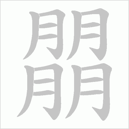 朤的笔顺动画演示
