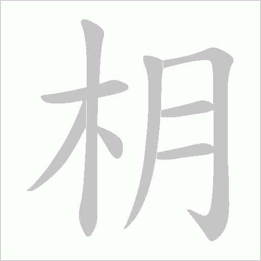 枂的笔顺动画演示