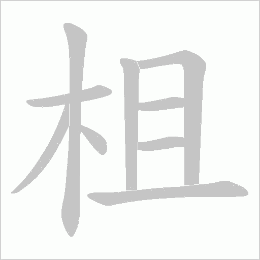 柤的笔顺动画演示