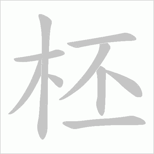 柸的笔顺动画演示