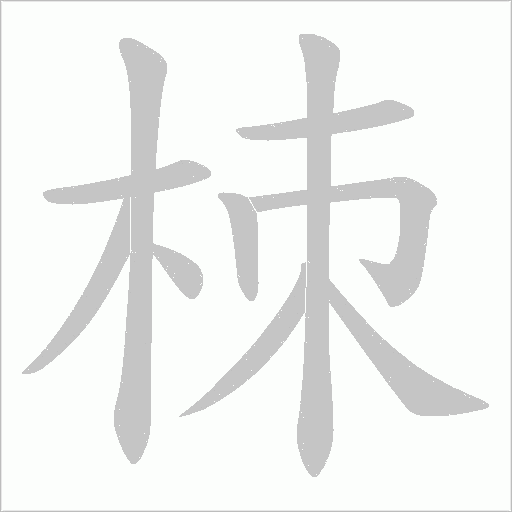 栜的笔顺动画演示