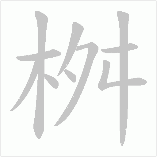 桝的笔顺动画演示