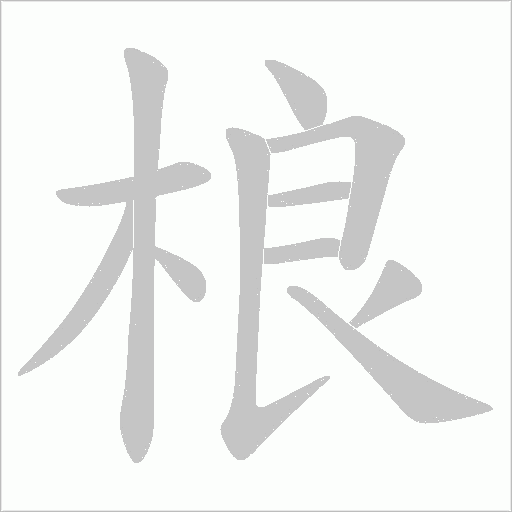 桹的笔顺动画演示