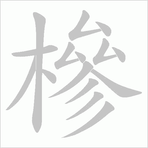 槮的笔顺动画演示
