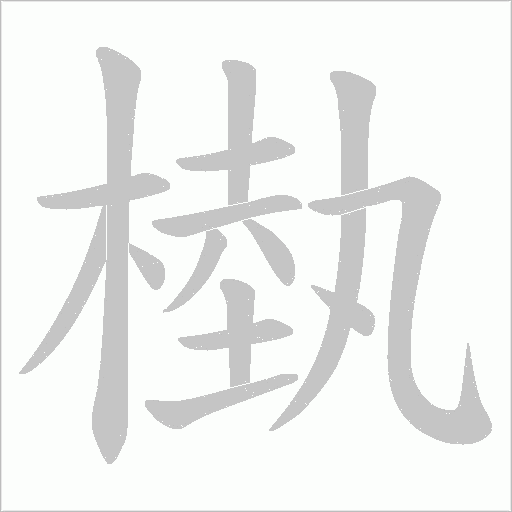 槸的笔顺动画演示