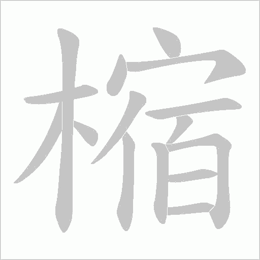 樎的笔顺动画演示
