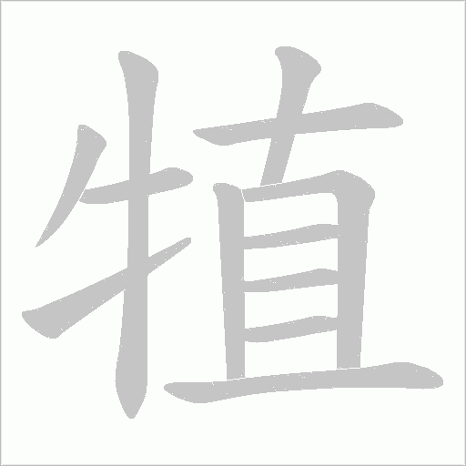 犆的笔顺动画演示