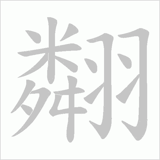 翷的笔顺动画演示