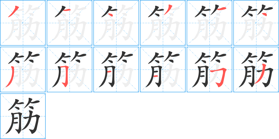 筋的笔顺分步演示