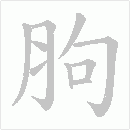 胊的笔顺动画演示