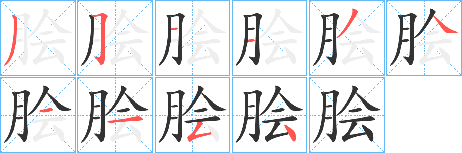 脍的笔顺分步演示