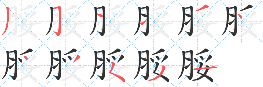 脮的笔顺分步演示