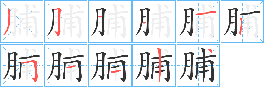 脯的笔顺分步演示