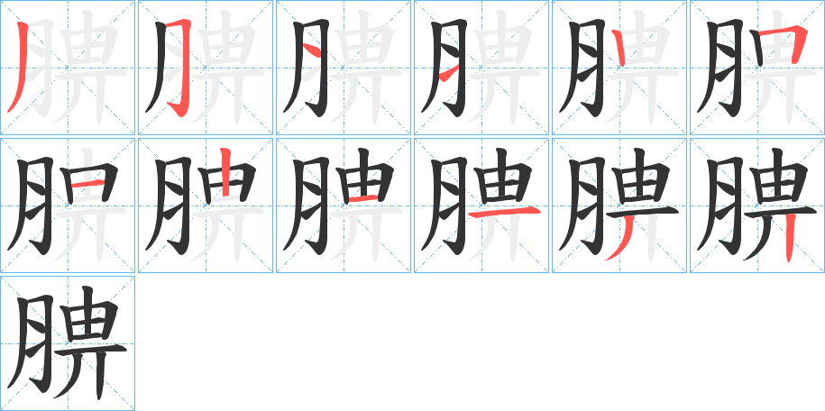 腗的笔顺分步演示