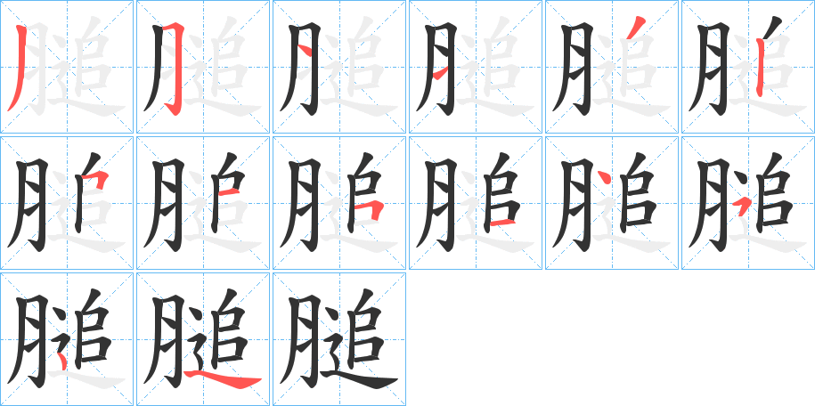 膇的笔顺分步演示
