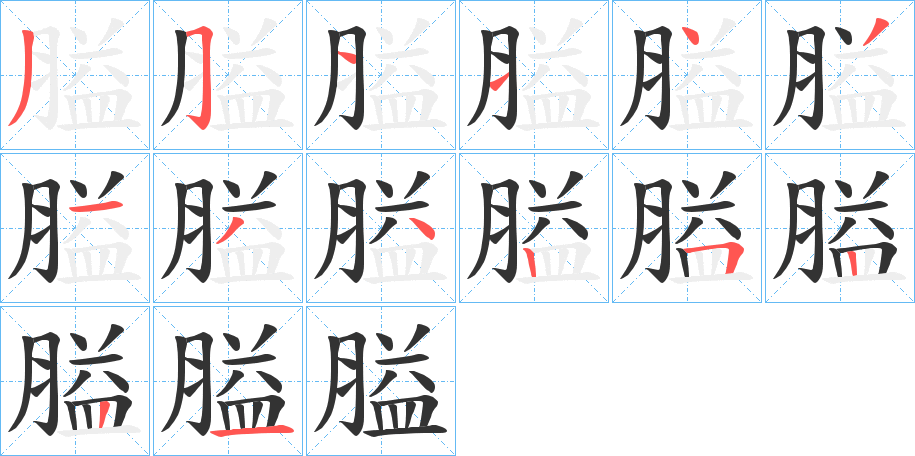 膉的笔顺分步演示