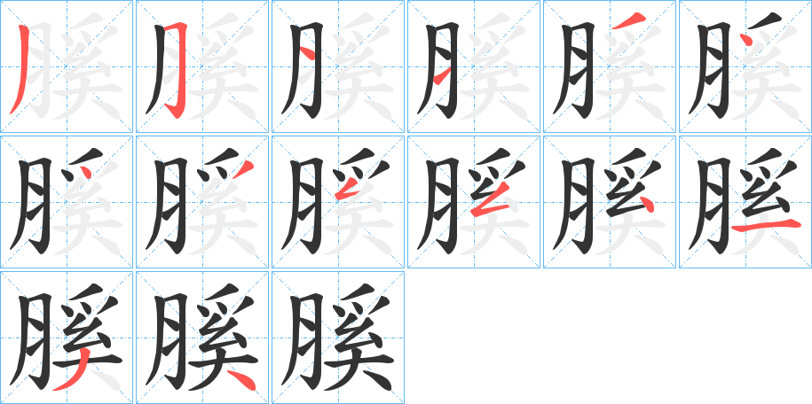 膎的笔顺分步演示