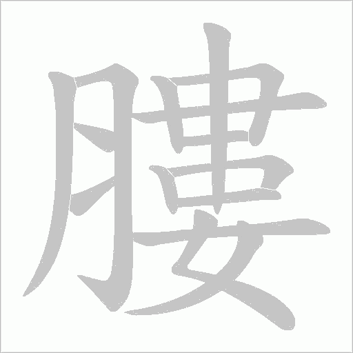 膢的笔顺动画演示
