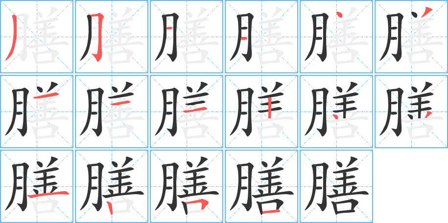 膳的笔顺分步演示