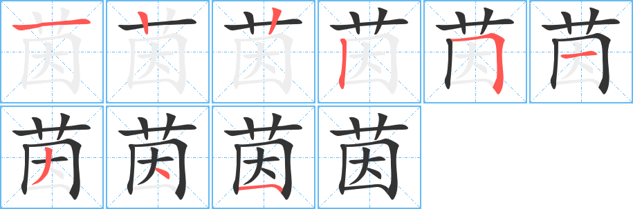 茵的笔顺分步演示