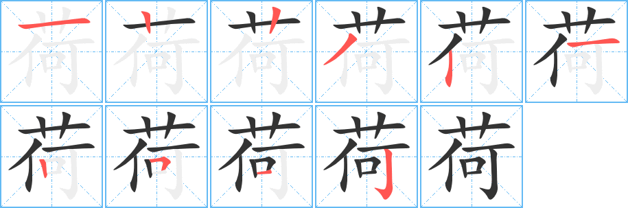 荷的笔顺分步演示