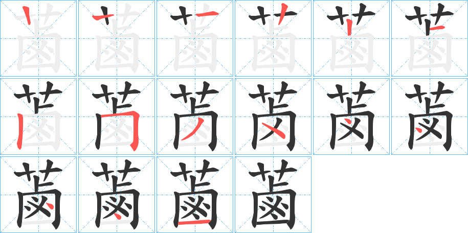 蓾的笔顺分步演示