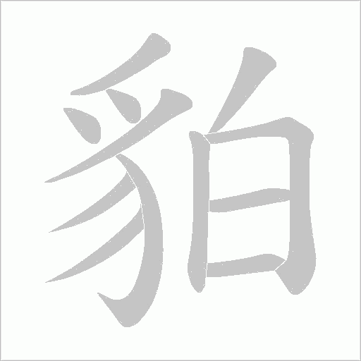 貃的笔顺动画演示