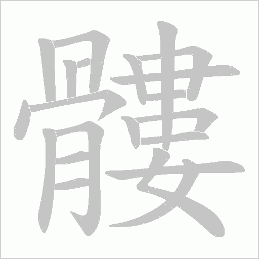 髏的笔顺动画演示