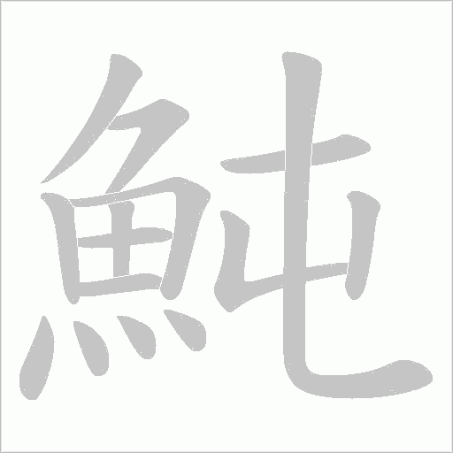 魨的笔顺动画演示