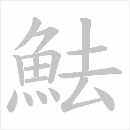 魼的笔顺动画演示