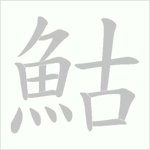 鮕的笔顺动画演示