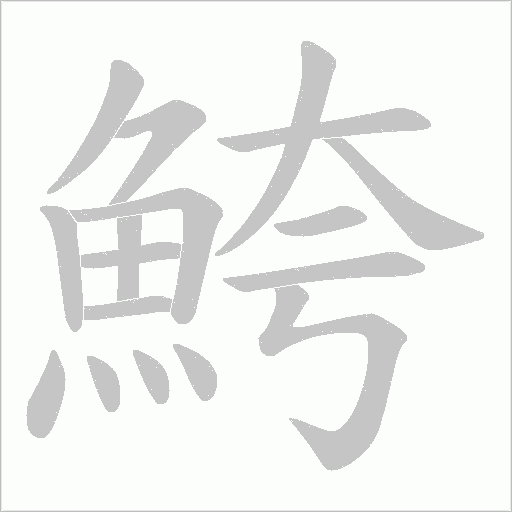 鮬的笔顺动画演示