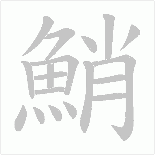 鮹的笔顺动画演示