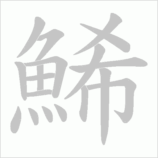 鯑的笔顺动画演示