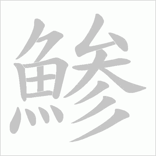 鯵的笔顺动画演示