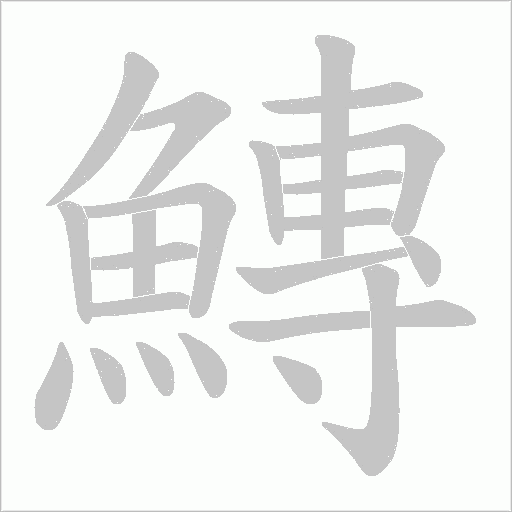 鱄的笔顺动画演示