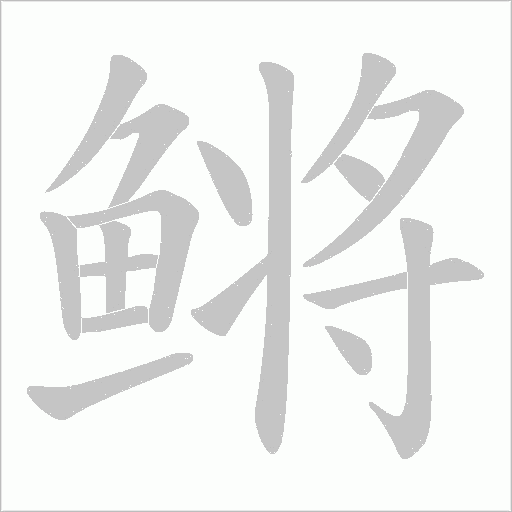 鳉的笔顺动画演示