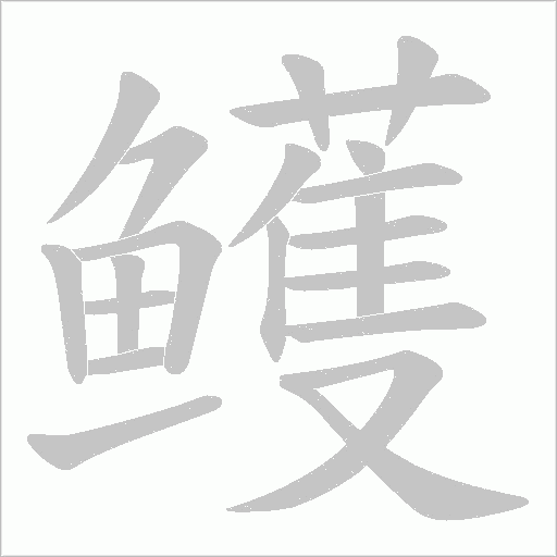 鳠的笔顺动画演示