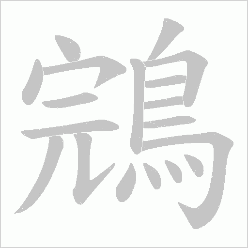 鵍的笔顺动画演示