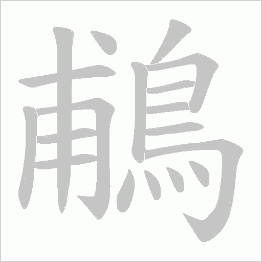 鵏的笔顺动画演示
