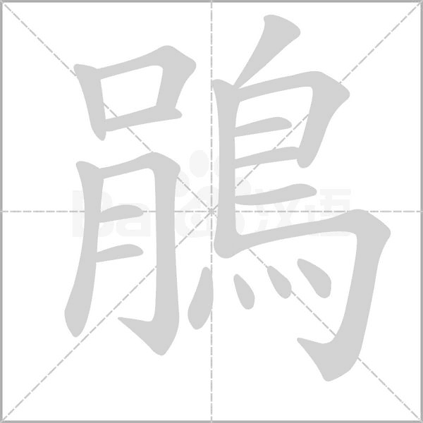 鵑的笔顺动画演示