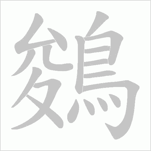 鵕的笔顺动画演示