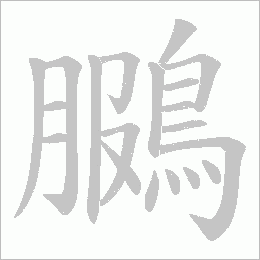 鵩的笔顺动画演示