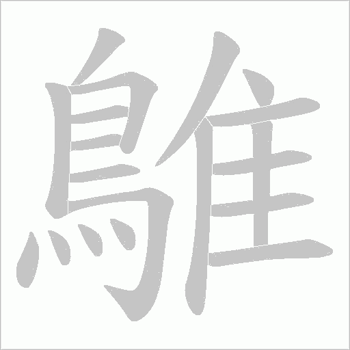鵻的笔顺动画演示