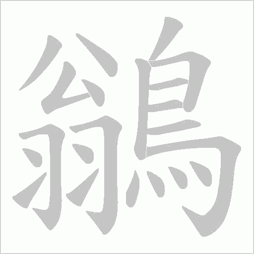 鶲的笔顺动画演示