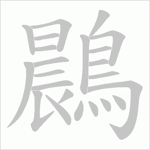 鷐的笔顺动画演示