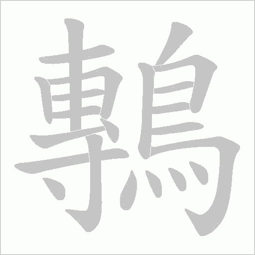 鷒的笔顺动画演示
