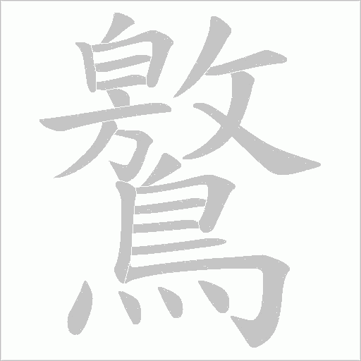 鸄的笔顺动画演示
