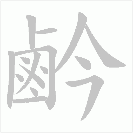 鹶的笔顺动画演示